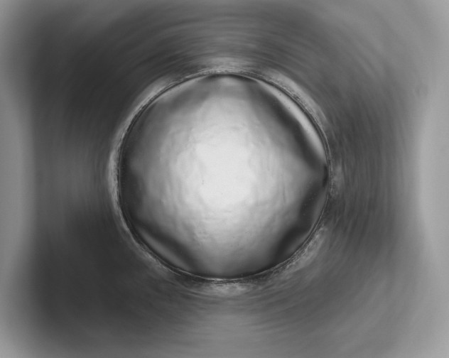 X0000101421243200807211122