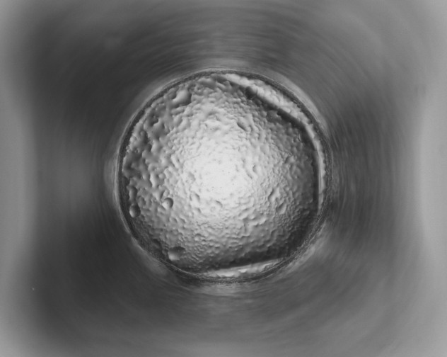 X0000101421245200807211122
