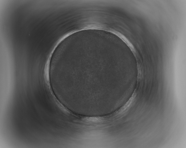 X0000101421246200807211122