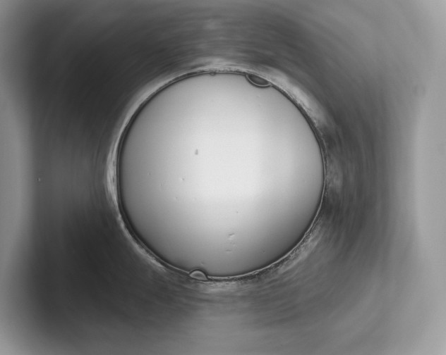 X0000101421247200807211122