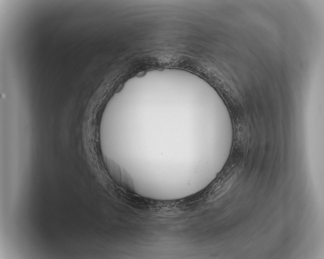 X0000101421249200807211121