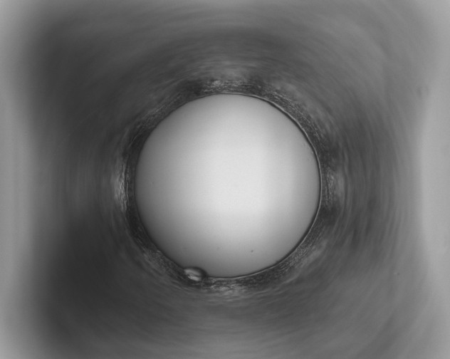 X0000101421250200807211121