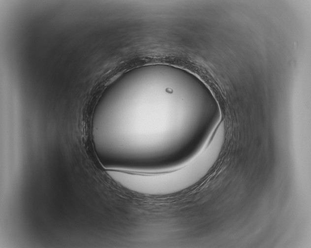 X0000101421253200807211121