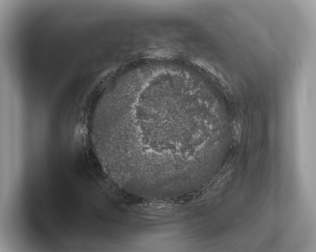 X0000101421254200807211121