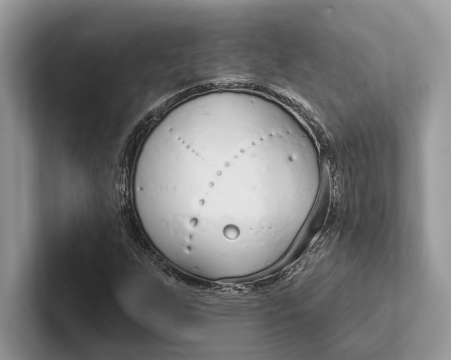 X0000101421255200807211121