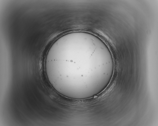 X0000101421259200807211121