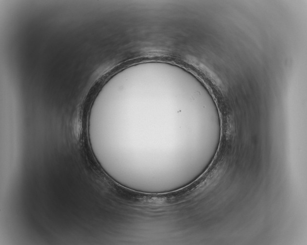 X0000101421261200807211121