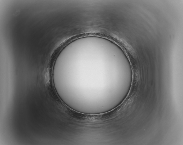 X0000101421262200807211121