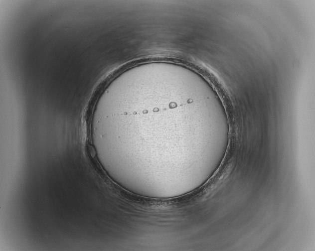X0000101421267200807211121