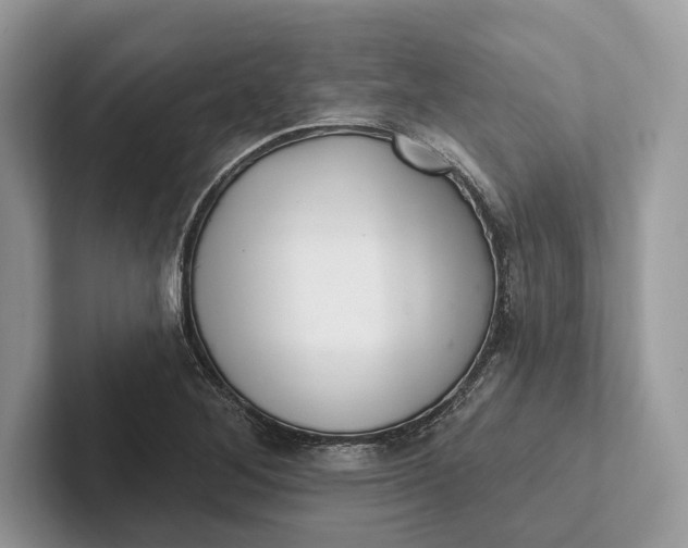 X0000101421268200807211121