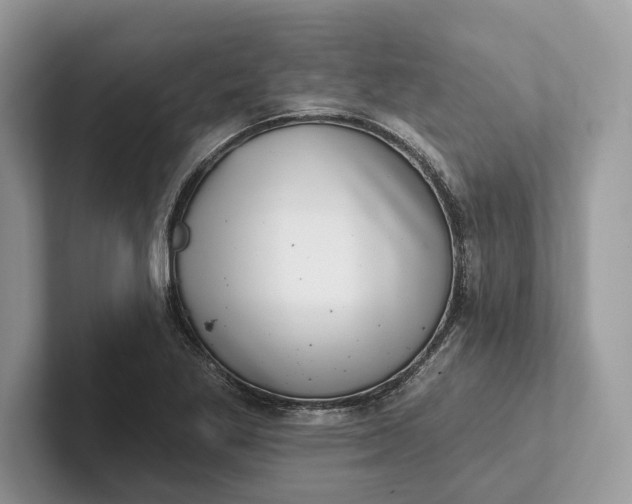 X0000101421269200807211121