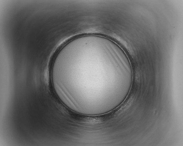 X0000101421270200807211121