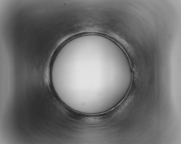 X0000101421272200807211121