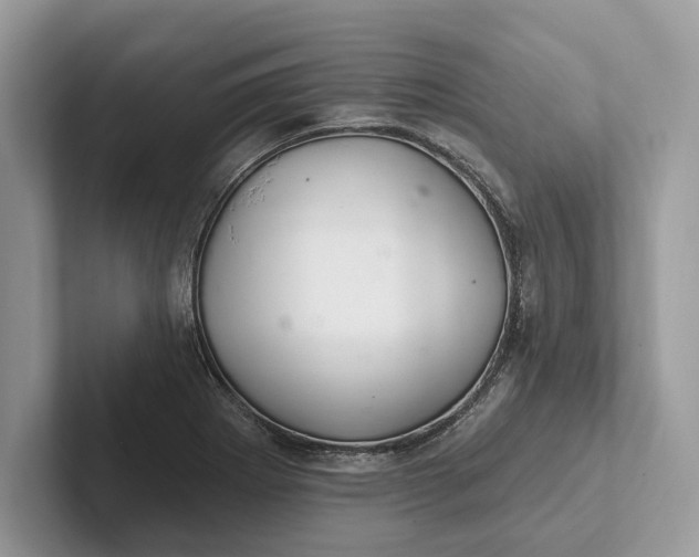X0000101421273200807211121