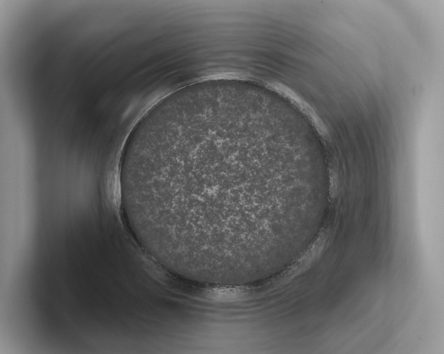 X0000101421274200807211121