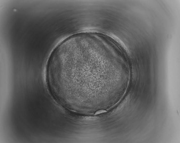 X0000101421277200807211121