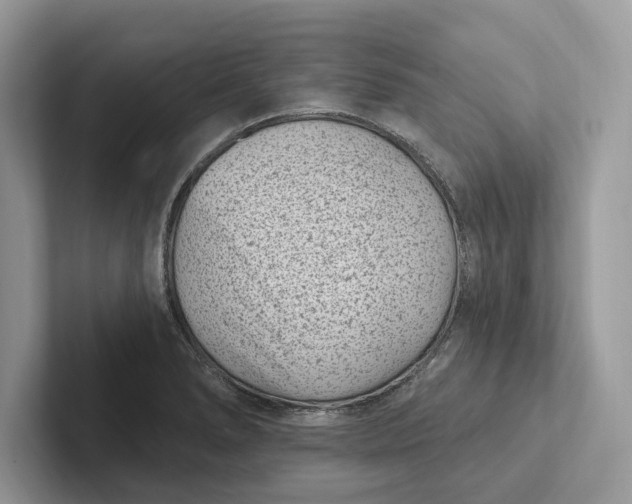 X0000101421278200807211121