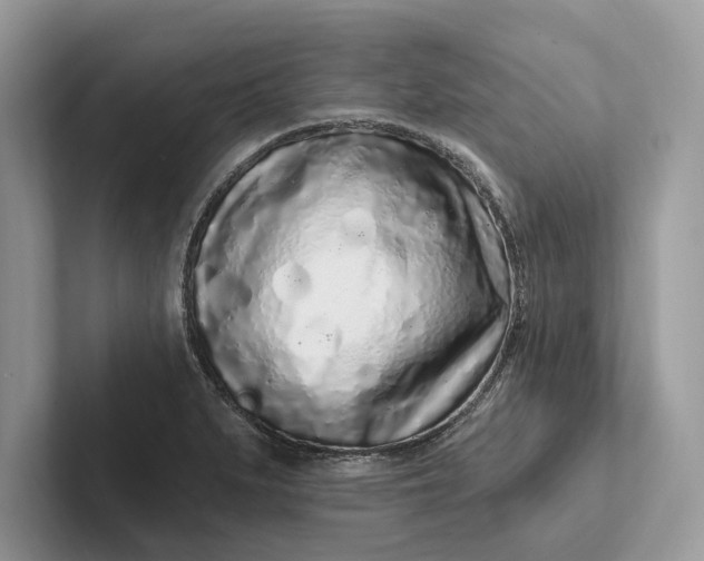 X0000101421279200807211121