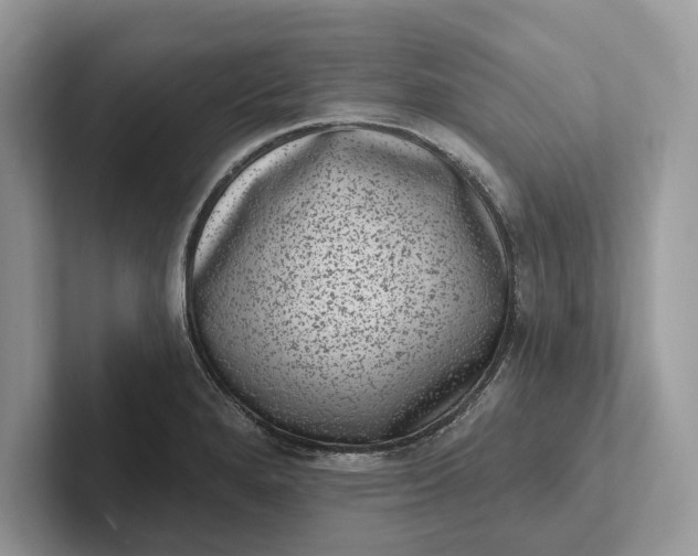 X0000101421280200807211121