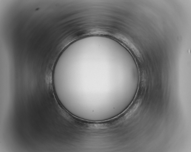 X0000101421281200807211121