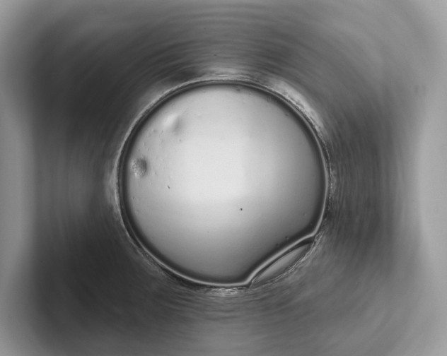 X0000101421283200807211121