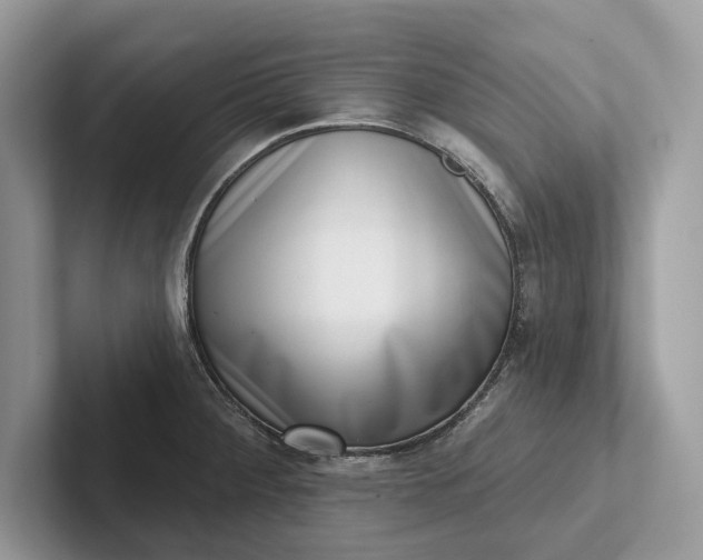 X0000101421284200807211121