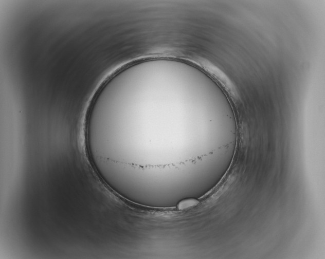 X0000101421288200807211121