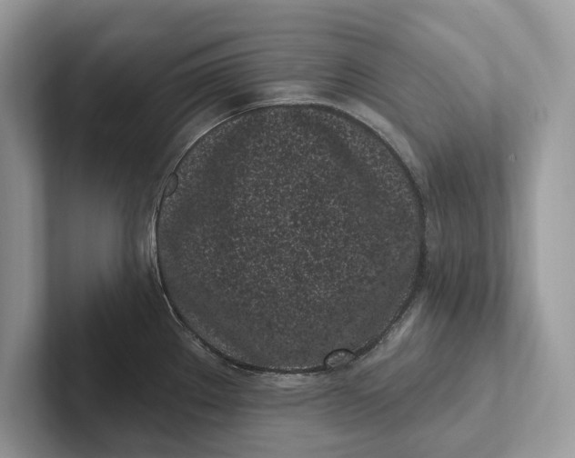 X0000101421289200807211121