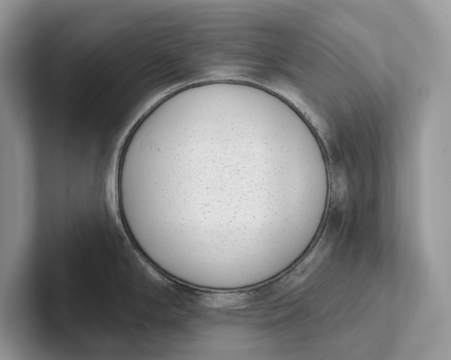 X0000101421294200807211121