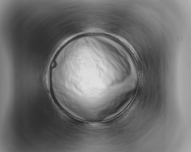 X0000101421295200807211121