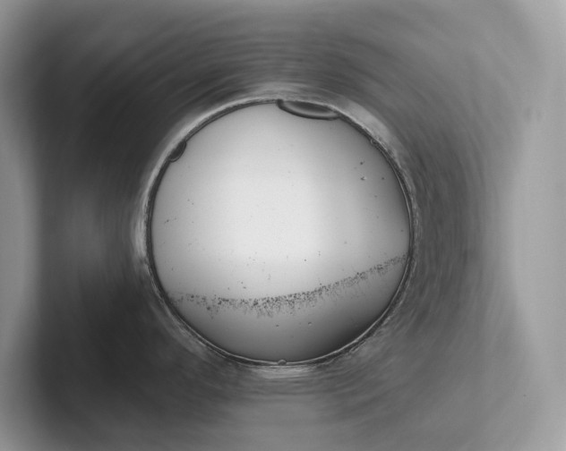 X0000101421296200807211121