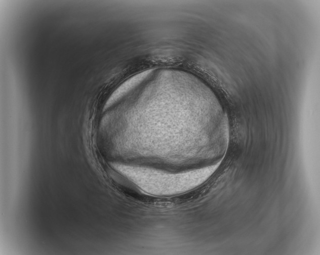X0000101421297200807211120