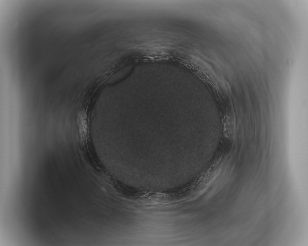 X0000101421298200807211120