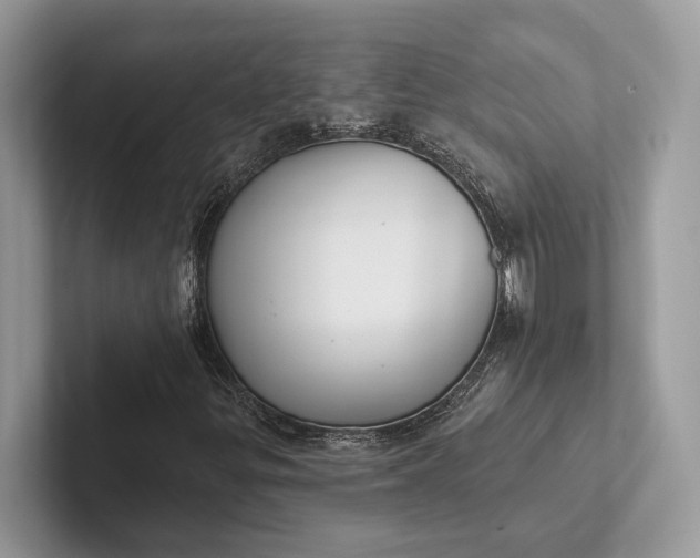 X0000101421299200807211120