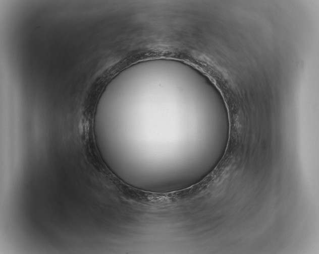 X0000101421302200807211120