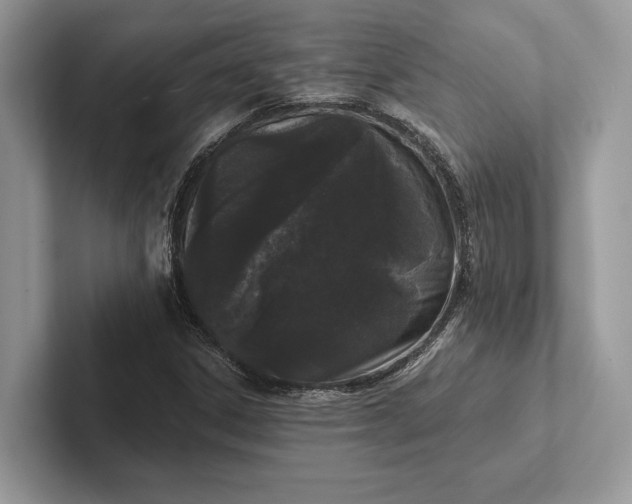X0000101421306200807211120