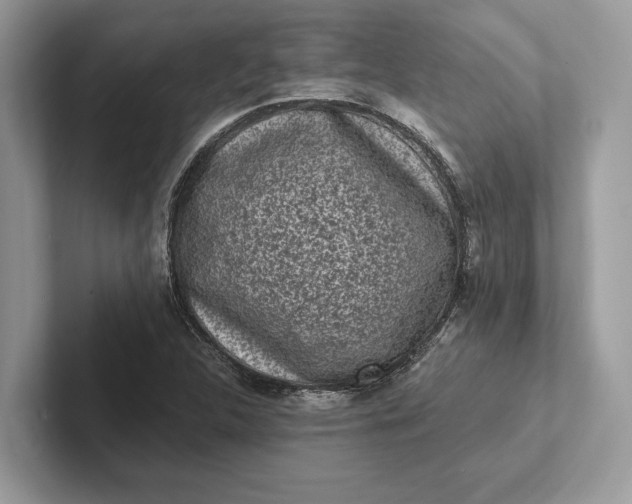 X0000101421312200807211120