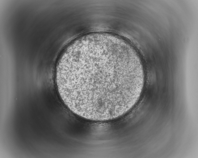 X0000101421314200807211120
