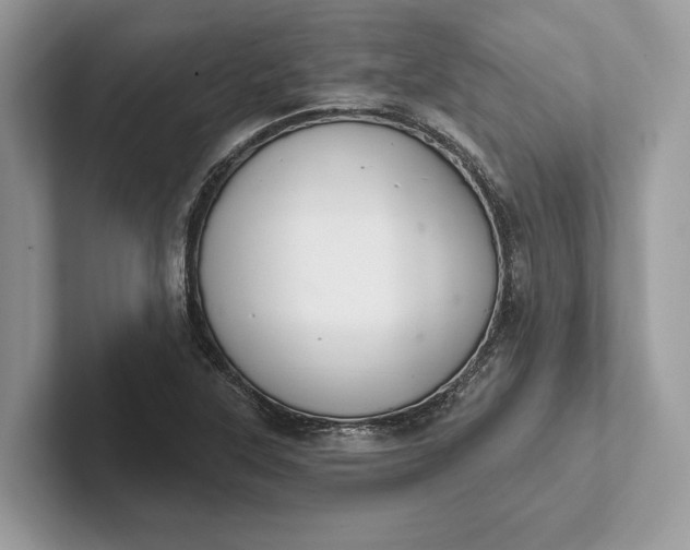 X0000101421315200807211120