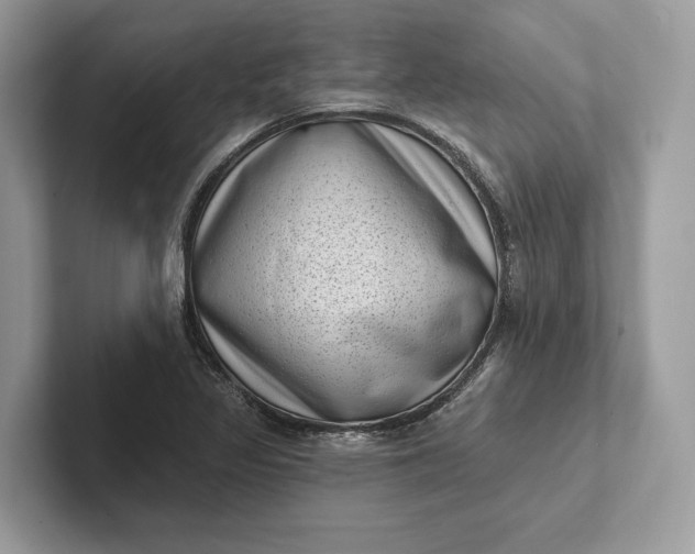 X0000101421317200807211120
