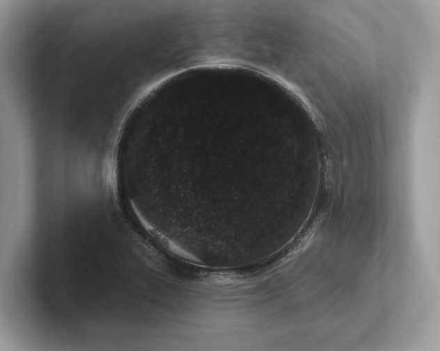 X0000101421319200807211120
