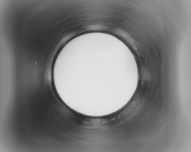 X0000101421322200807211120