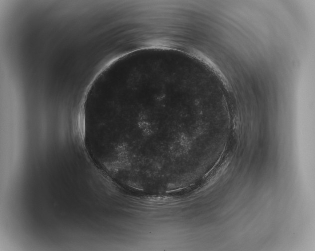 X0000101421323200807211120