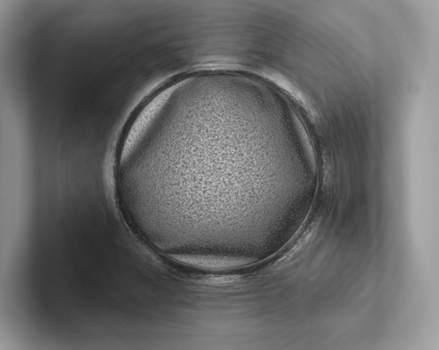 X0000101421325200807211120