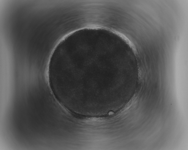 X0000101421327200807211120