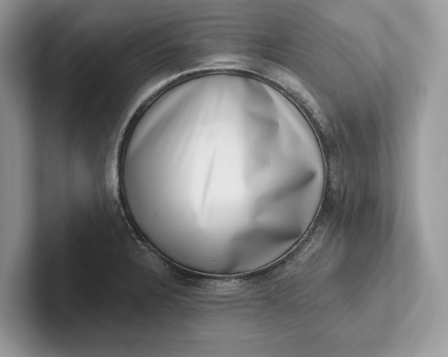 X0000101421328200807211120