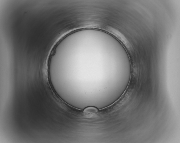 X0000101421332200807211120