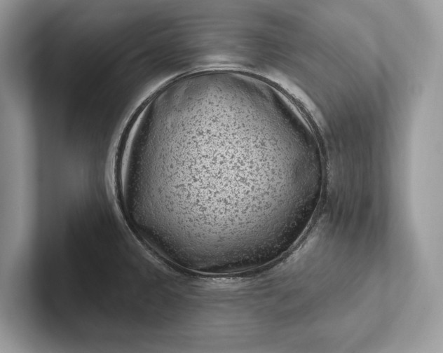 X0000101421333200807211120