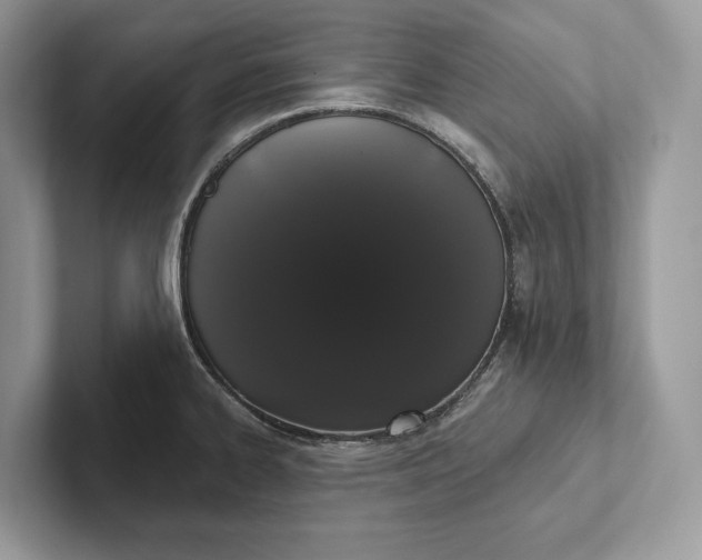 X0000101421334200807211120
