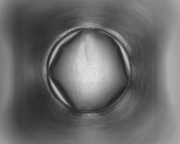 X0000101421335200807211120